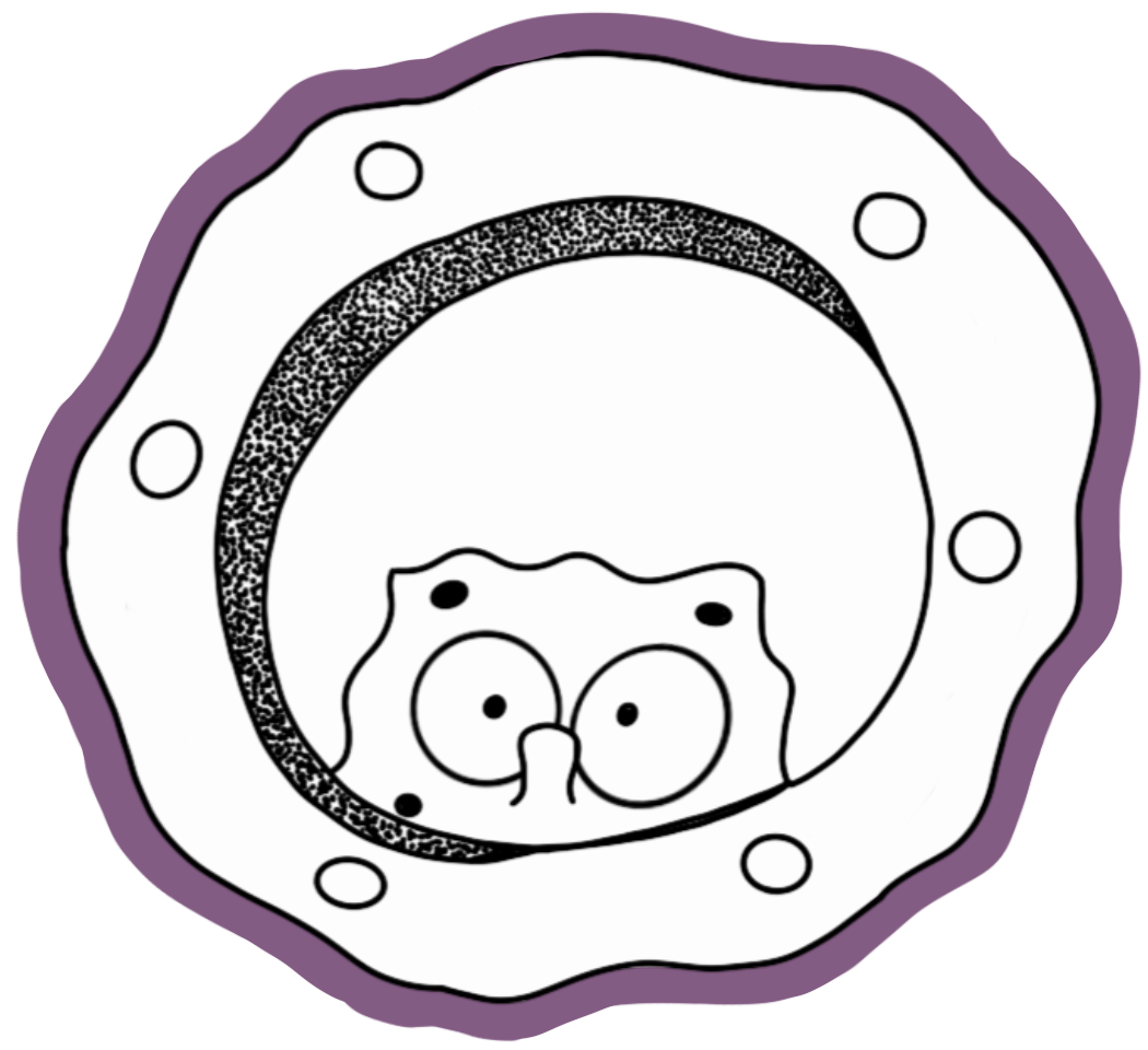 stikers